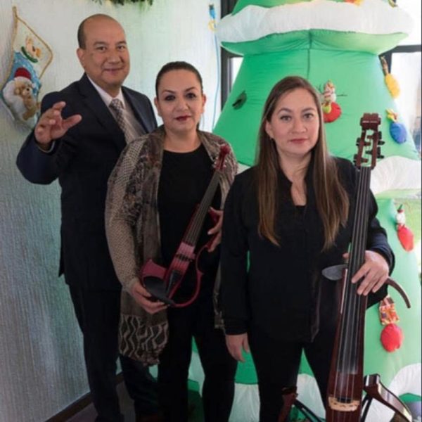 Grupo Mozart
